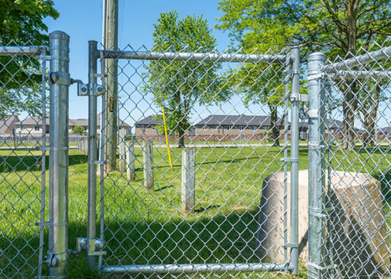 25mm 3mm 지름 젤리화 체인 링크 울타리 저탄소 철선