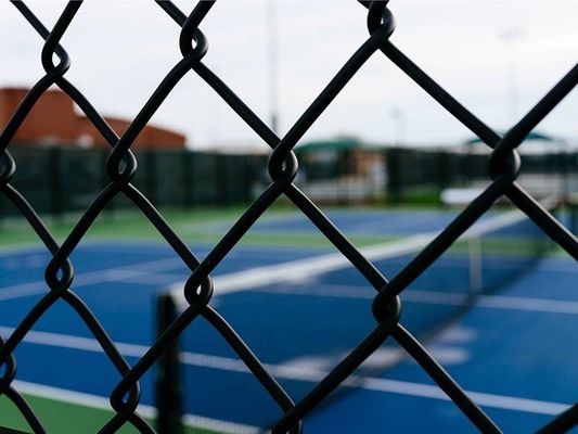 6 기지 비닐 코팅 체인 링크 울타리 6 피트 높이 50 피트 롤